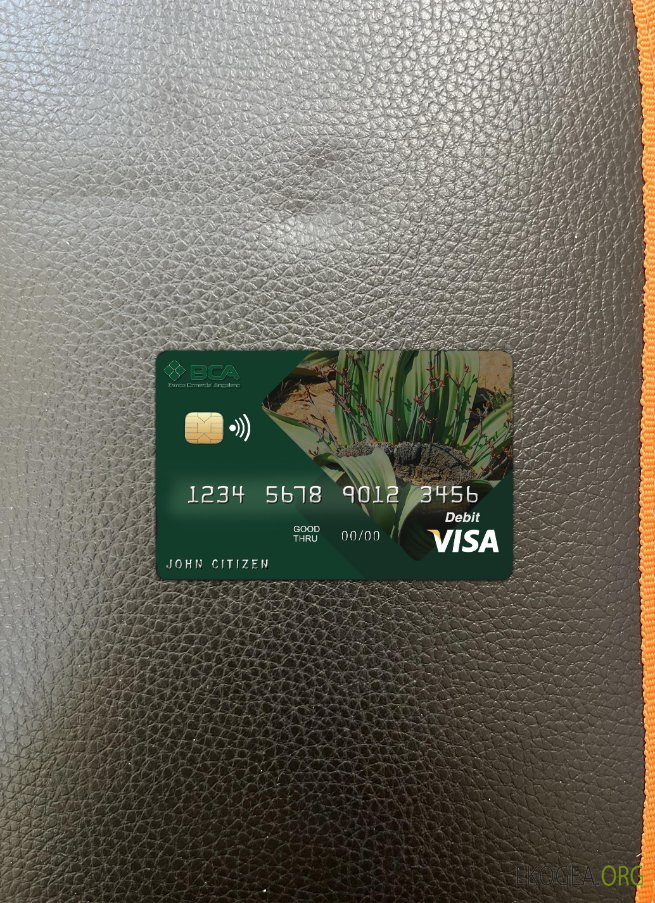 Photolook de la carte visa de la Banque commerciale d'Angola avant